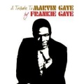 Frankie Gaye - Special Day