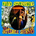 david steinberg - Moses