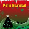 Banda Musical Navidad - Arre Borriquito