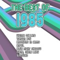 D.J.In The Night - Rage To Love
