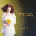 Robin Spielberg - Canon in D