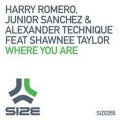 harry romero - Where You Are