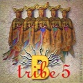 B-Tribe - Intro