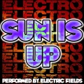 Electric Fields - No Stress