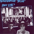 Saccharine Trust - I Have