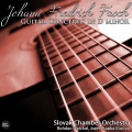 Jozef Zsapka - Guitar Concerto in D Minor: I. Allegro moderato