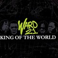 Ward 21 - Get Busy