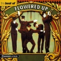 Flowered Up - Sunshine