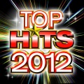 Top Workout Hits 2012