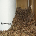 Telepopmusik - Into Everything