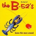the b-52's - Wig