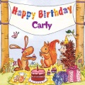The Birthday Bunch - Animal Fair