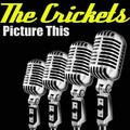 The Crickets、J. I. Allison - Picture This