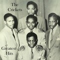 The Crickets - For You I Have Eyes