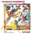The Fabulous Thunderbirds - I Don't Care
