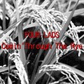 Four Lads、McConologue - Comin' Through The Rye