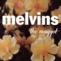 Melvins - Amazon