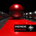 the premiers - Senseless (Dub)