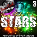 Bvox Singers - Before I Forget (Bvox)