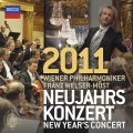Vienna Philharmonic Orchestra、Franz Welser-Möst - An der Schonen, Blauen Donau Walzer, Op. 314