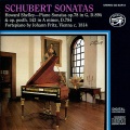 Howard Shelley - Sonata in A Minor, Op. 143, D. 784: III. Allegro vivace