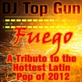 DJ Top Gun - Enrique Iglesias (Can You Hear Me)