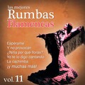 Los Chamarones - Mi Prima Lucia