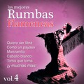 Los Chamarones - Esta Noche Me Esposito
