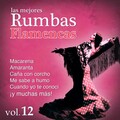 Los Chamarones - Macarena