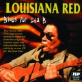 Blues for Ida B