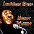 Muddy Waters - Trouble for You