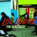 Los Lobos - Burn It Down
