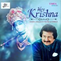 pankaj udhas - Hey Krishna