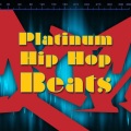 Platinum Hip Hop DJs、Lil Wayne、Swizz Beatz - I Can Transform Ya (Made Famous by Chris Brown featuring Lil Wayne & Swizz Beatz)