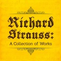 Richard Strauss、Amelia Piano Trio - Also sprach Zarathustra, Op. 30, TrV 176: I. Also sprach Zarathustra