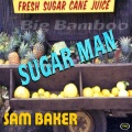 Sam Baker - Don't Feel Rained On