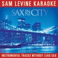 Through The Fire (Sam Levine Karaoke