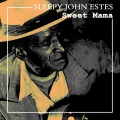 sleepy john estes - Liqour Store Blues