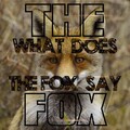 The Fox - What Does the Fox Say (Single Mix)