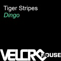 Tiger Stripes - Dingo (Afro Dub)