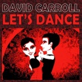 david carroll - My Sin