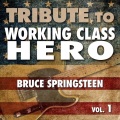 Tribute to Working Class Hero Bruce Springsteen, Vol. 1