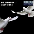 DJ Biopic - Grey Dayz (Original mix)