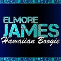Elmore James - Sunny Land