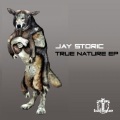 Jay Storic - True Nature (Original Mix)