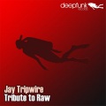 jay tripwire - Swang Kong