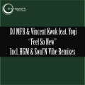 Feels so New (Hard Groove Maschine & Soul'nvibe Vocal Mix)