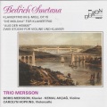 Trio Mersson - Piano Trio in G Major, Op. 15: I. Moderato assai
