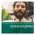 Gonzaguinha - Alô, Alô Brasil