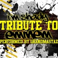 Grandmastaz - Hailie's Song